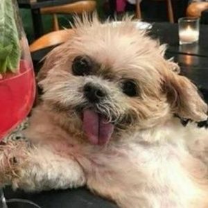 Meet your Posher, Kathrin